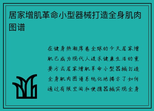 居家增肌革命小型器械打造全身肌肉图谱